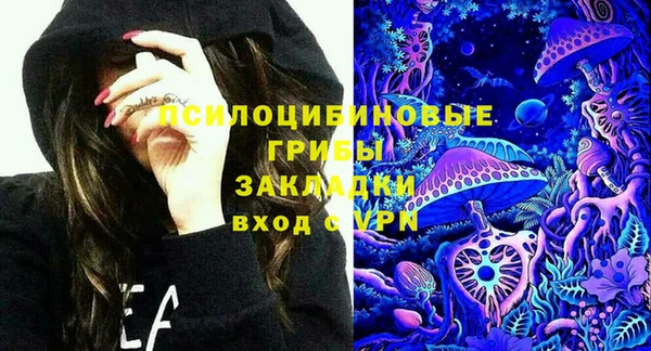 PSILOCYBIN Медногорск
