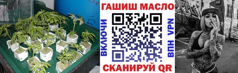купить закладку  ссылка на мегу зеркало  Дистиллят ТГК THC oil  Терек 