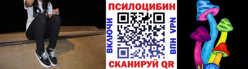 Галлюциногенные грибы Cubensis  магазин продажи наркотиков  Терек 
